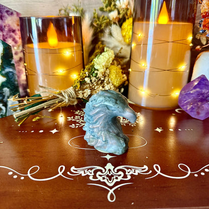 Eagle Head Carving, Assorted Crystals, Choose Your Own