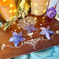 Purple Fluorite Starfish, Detoxing & Negativity Stone