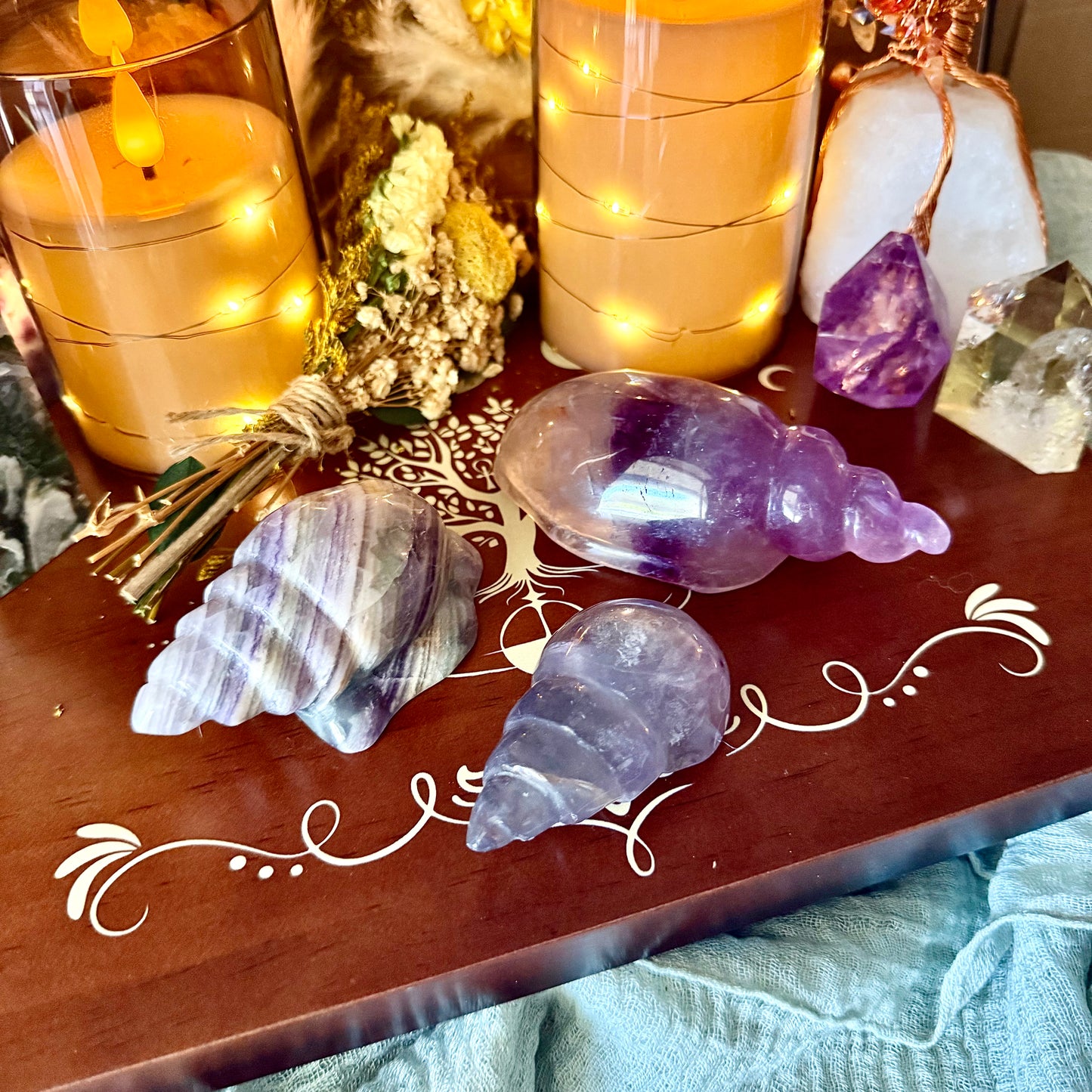 Rainbow Fluorite Carved Seashell, Detoxing & Negativity Stone
