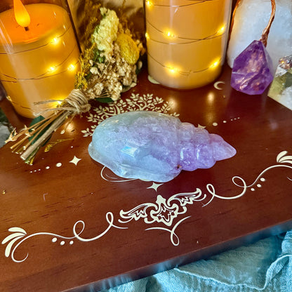 Rainbow Fluorite Carved Seashell, Detoxing & Negativity Stone