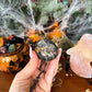 Black Moonstone Palm Stone, New Beginnings, Grounding Stone