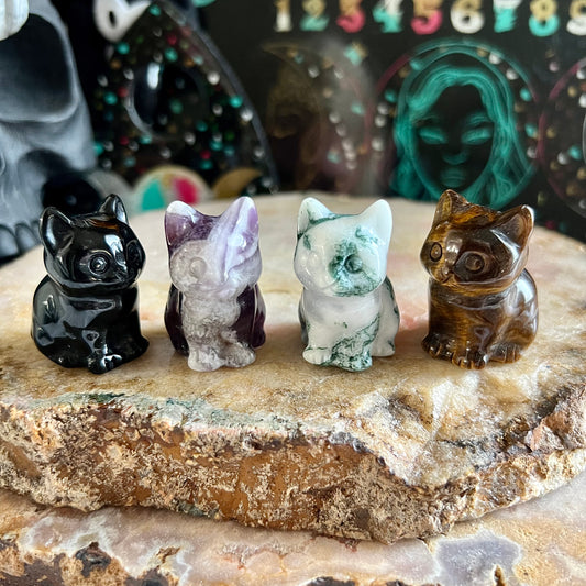 Kitty Carved Crystal, Assorted Crystals!